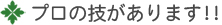 プロの技があります!!